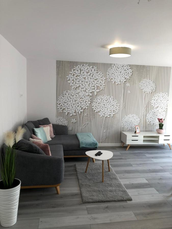 Szeged Gyoengye Delux公寓 外观 照片